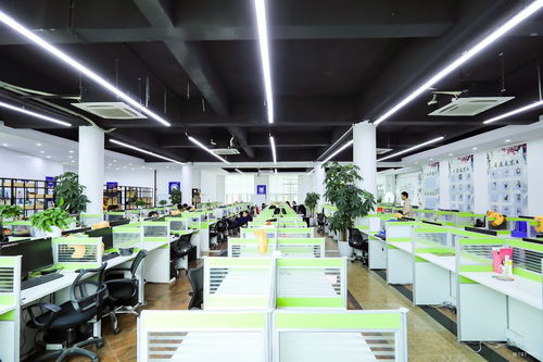 开锐教育2020年网络管理运维前景解析